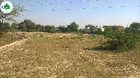 5 kathha land available in Jhanjharpur Darbhanga