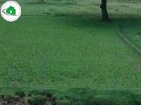 Plots in Muslim Area for rent in patna