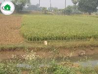 8 Katha land for sell in patna