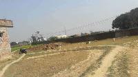 Commercial Plot for sale in Darbhanga