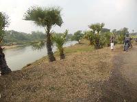 1 2 4 Katha land for sale in Mohammadpore patna