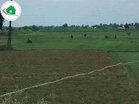 4 5 katha Land Akbarpore 7 Lakh per Katha for sale in patna