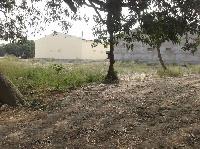 Land available for sale in Baruni