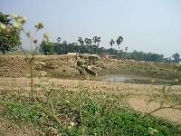 Land and house for lease in punpun thana patna