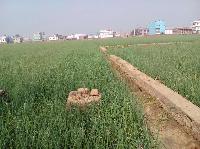 One kattha land for sale in patna