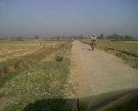 Land for sale in Kurkuri phulwari