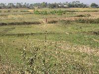 7200 Sqr Ft SIX Lane Highway par plot for sale in patna