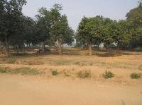 1-5 katha plot for sale in Bailey road patna