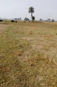 Commercial Plot for Sale in Sitamarhi
