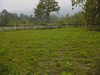 Plot for Sale in Sampatchak call 9470731854