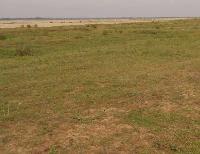 Land for Sale in Ara