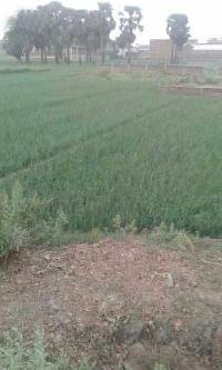 Residential plot for Sale in Patna