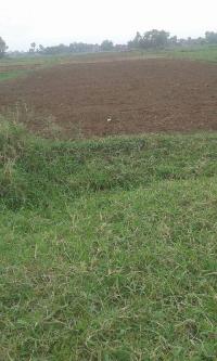 Land for Sale in Patna
