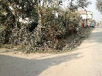 4 katha Land Sale in Bhagalpur