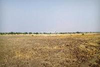Residential plot for sale by Gita Vihar Developers in Moti Mahal Project in bihta bikram road in patna