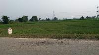 Diwali Dhamak Offer Affordable Rate Invest In Plot In Bihta Bikram Road In Patna Rigistry Free - Emi Facility