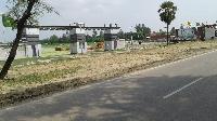 Land for Sale In Sasaram