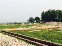 Land For Sale In Patna Township