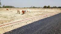 Muzafferpur In Bihar Vill-bakarpur, Opp- Vastu Vihar , Muzafferpur To Patna, Sitamadhi Road On Highway Residential Plot For Selling Asan Masik Kisto Me Booking Amount 25percent Dekar