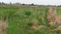 Residential Plot available for sell in sampatchak