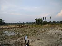 Residencial Cum Commercial Land Of 6 Bigha With 2 Lane 