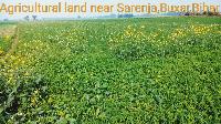 Fertile Agricultural Land For Sale Near Sarenja