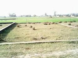 Land To Sell At Chainpura,bihar Sharif