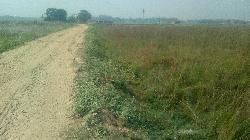 Residential Plot In Basudevpur Darbhanga, Near Delhi More And New Bus Stand Area