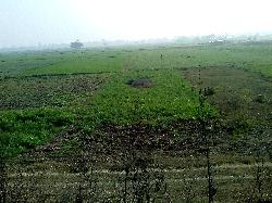 Agriculture Plot For Sale In Dulhin Bazar- Paliganj Area