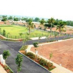 Residential Plot For Sell Near Iit College, Bihta. 