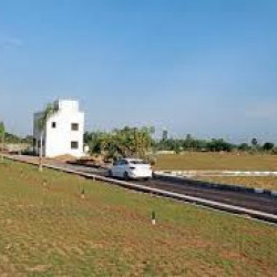 But A Township Plot On State Highway Road In Naubatpur 