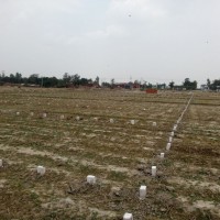 Residential plot for sale in sasaram on NH2 near lohwa pull