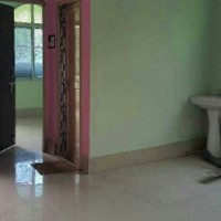 2 BHK Flat for rent with Balcony