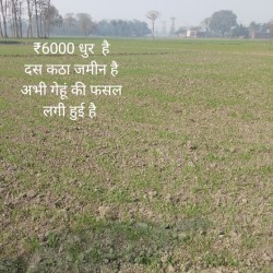 Land For Sale in Gopalganj