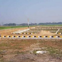 On Road Cheapest Plot For Investment In Bihta 
