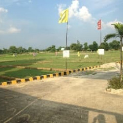 Very Cheapest Plot For Investment In Bihta