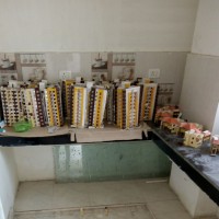3 Bhk Super Deluxe Flat In Big Society Of Patna