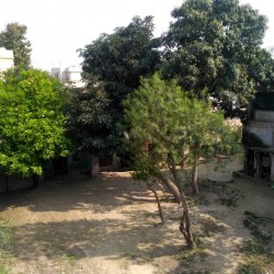 2 Houses Plus  In Approx 5 Katha Land Near Tirhut Academy School, Kashipur, Samastipur