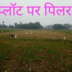 Plot In Greater Patna(naubatpur) Immediate Registry - Residential Plot / Land