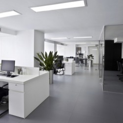 Commercial Space For Office/ Showroom Rent