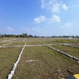 Lands