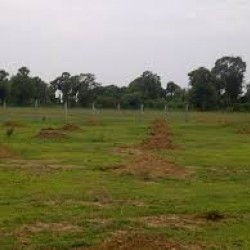 Commercial Plot For Sale in Patna