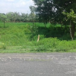 Residential And Commercial Plot On The Main Road Near Chunapur Airport, Purnia
