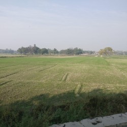 Plot/land For Sale At Khirkiyan, Saran, Bihar In Upcoming Industrial Belt