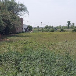 Chhainpatti