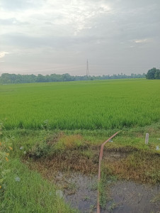 Janki Nagar Dham 