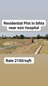 Residential plot bihta near esic 