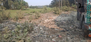 East Champaran,Dhaka-Ghorasahn On Main Road,Near To Dhaka-Bairgania Main Road