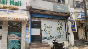 Narayan 
