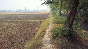 plot in paliganj dulhin bazar patna